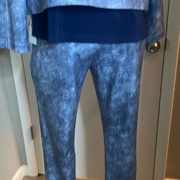 Liquid leather jacket and pant set blue snakeskin by Clara sun woo nwt - Picture 8 of 16